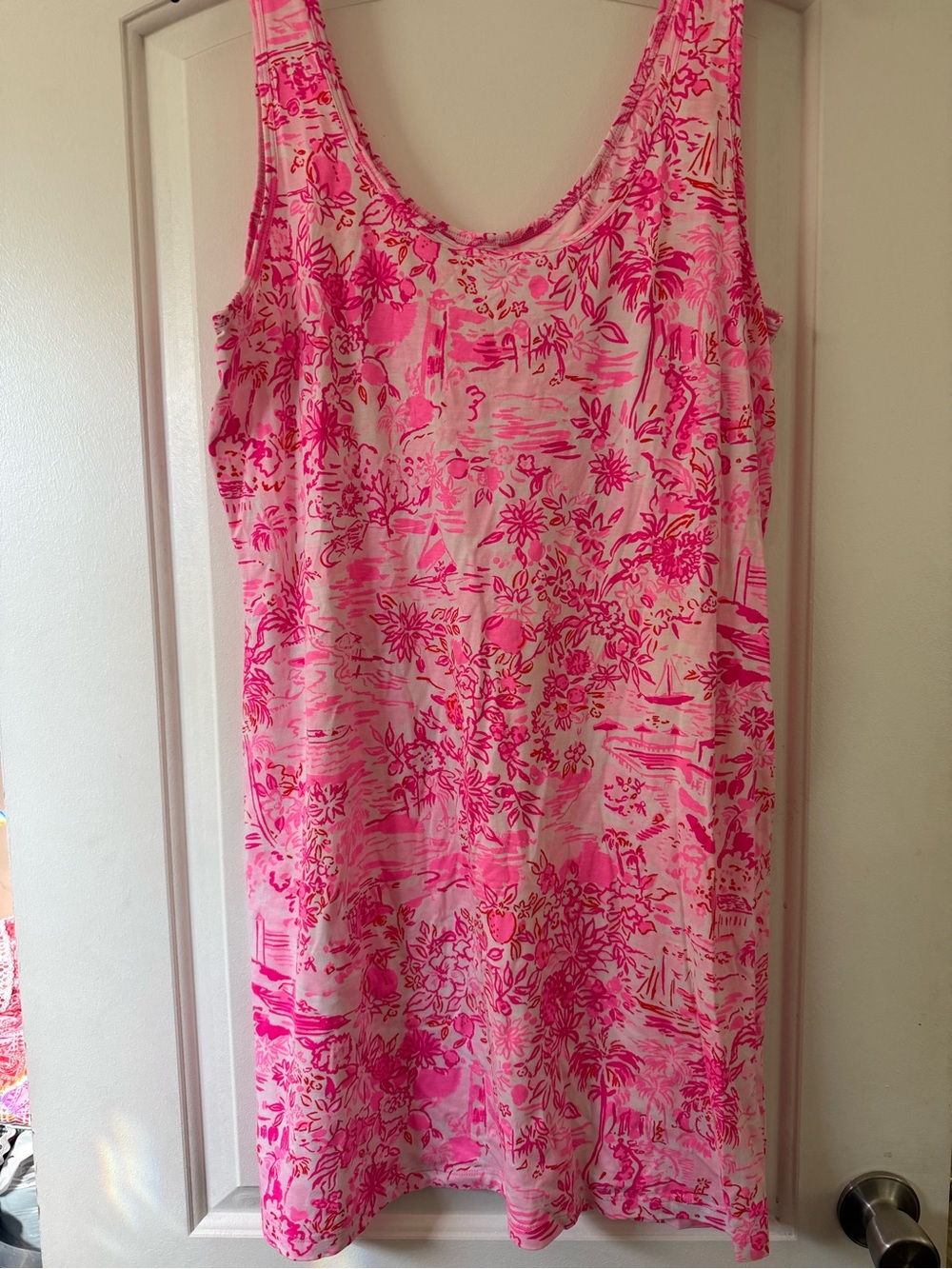 Lilly Pulitzer Newberri Seaside Scene Pink White Dress XL
